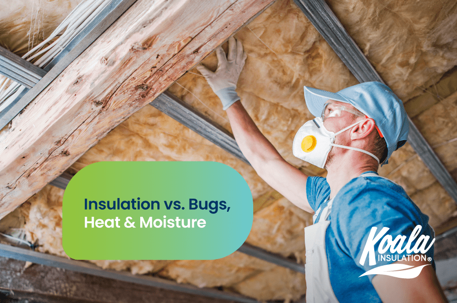 Insulation vs. Bugs, Heat and Moisture What Every North Broward & Boca Home Needs This Summer