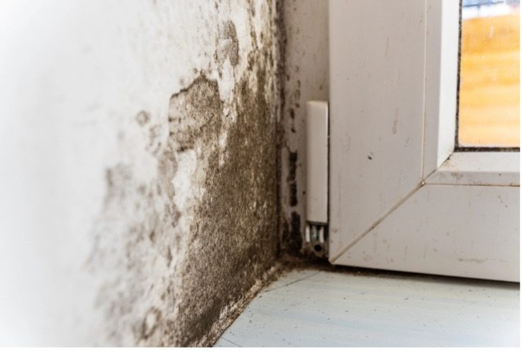 How Insulation Helps Reduce Indoor Humidity During Summer
