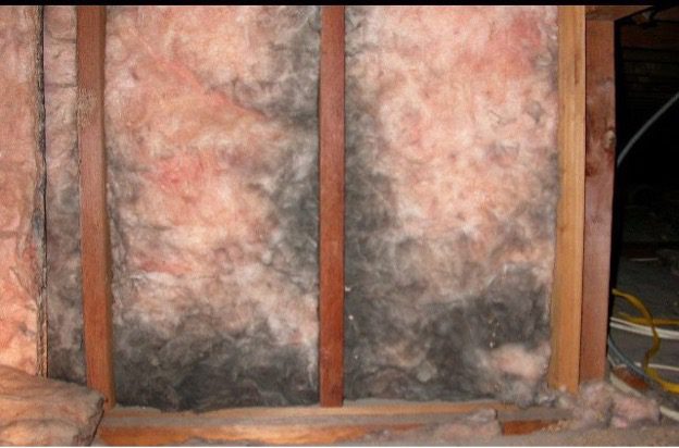 How to Protect Your Home from Mold and Mildew in Humid Summers