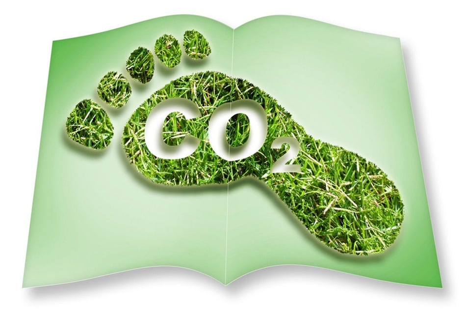 Reducing Your Carbon Footprint Through Better Home Insulation