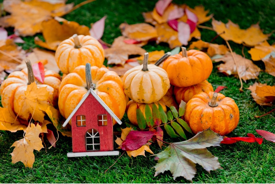 How Can Insulation Help Your Home Stay Cozy This Fall?