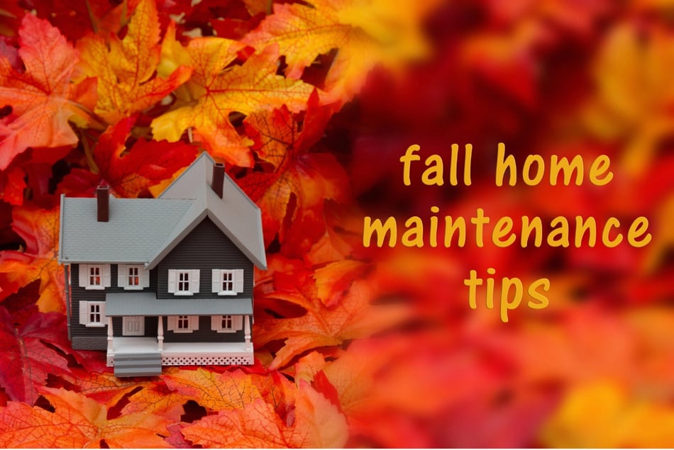 How Can You Maintain Your Home’s Insulation This Fall?