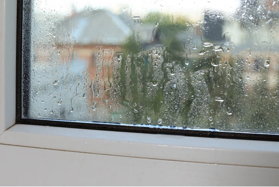 How Does Better Insulation Prevents Drafts and Winter Moisture?