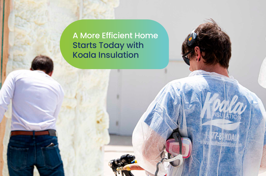 A More Efficient Home Starts Today with Koala Insulation