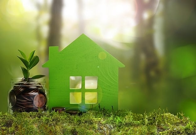 Which Eco-Friendly Insulation Materials Are Best for Your Home?