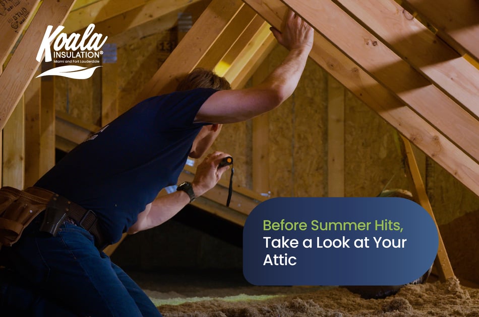 Before Summer Hits Fort Lauderdale, Take a Look at Your Attic