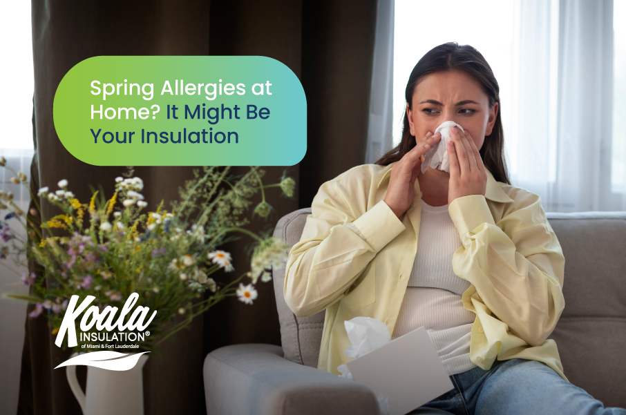 Why Allergies Feel Worse Inside Your Miami Home