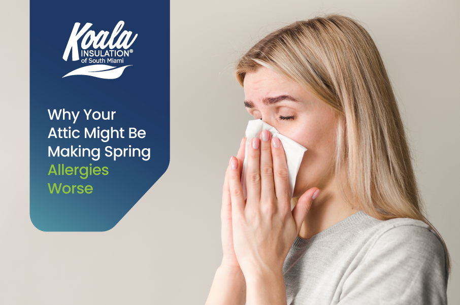 Why Your Attic Might Be Making Spring Allergies Worse