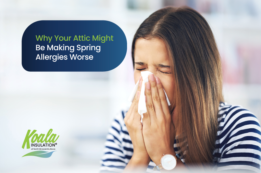 Why Your Attic Might Be Making Spring Allergies Worse