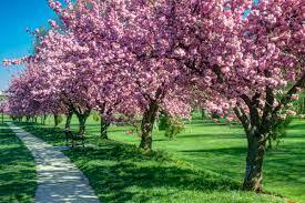 Why Spring Is the Perfect Time to Upgrade Your Insulation