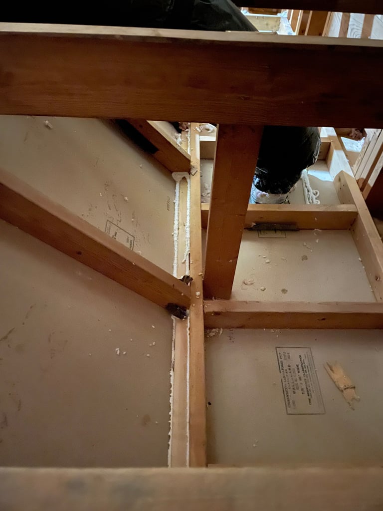 Why Is My Coastal Carolina House So Dusty and Damp?