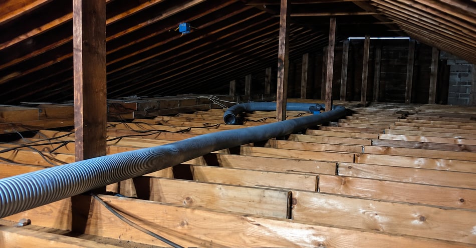 Attic Insulation Replacement in Cookeville TN After Pest Damage