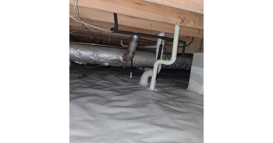 Rodent Cleanup & Crawl Space Restoration in Skidaway Island, GA