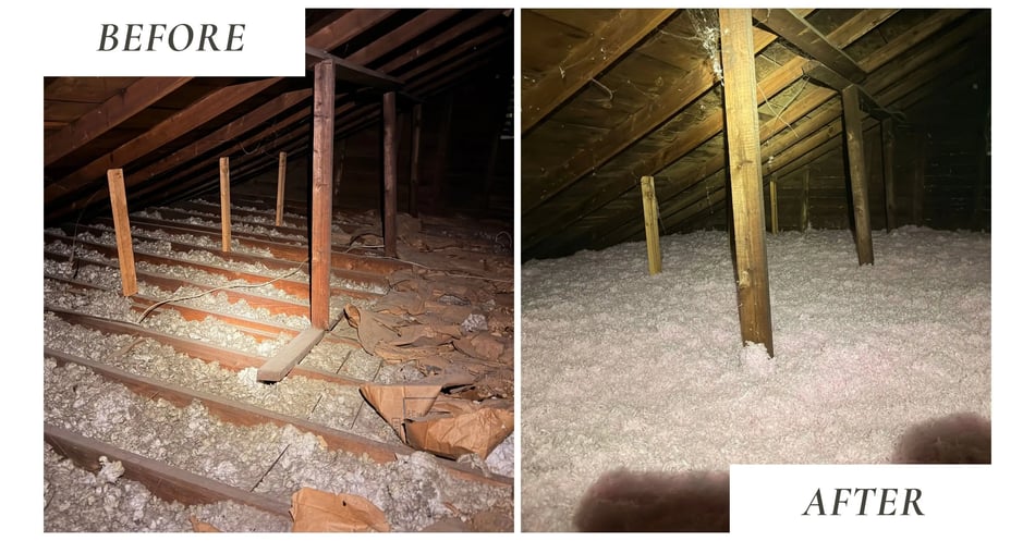 How Koala Insulation Fixed a 106 Year Old Attic in North Chattanooga
