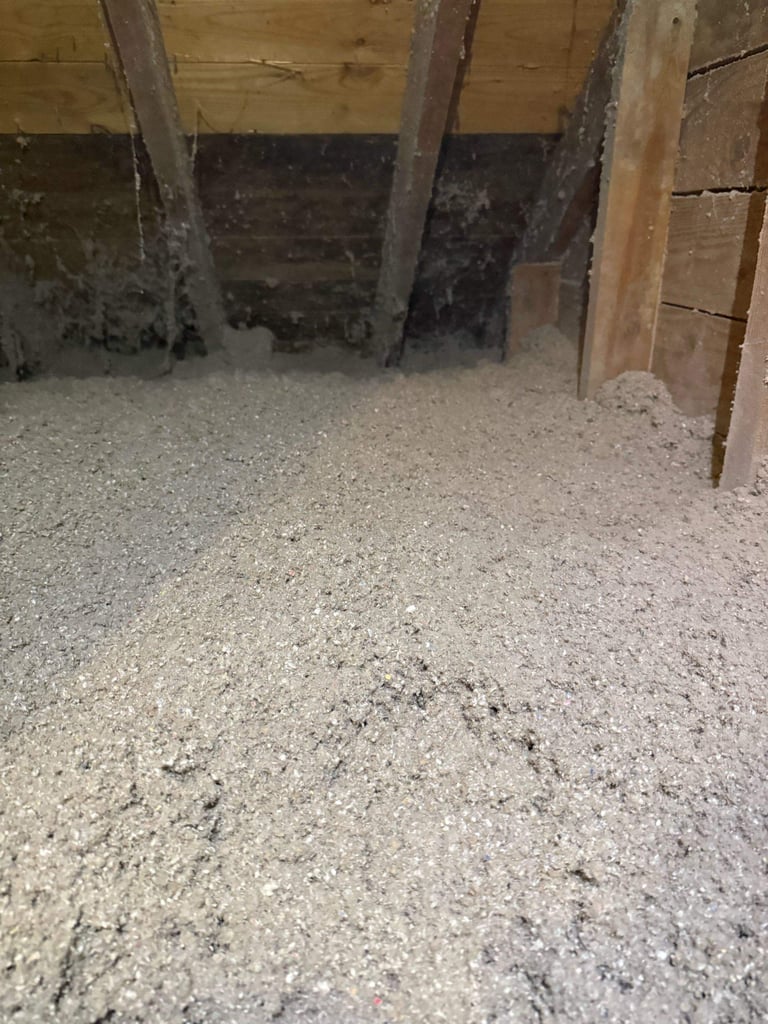 Do Solar Attic Fans Actually Lower Your Energy Bills in Mid-Michigan?