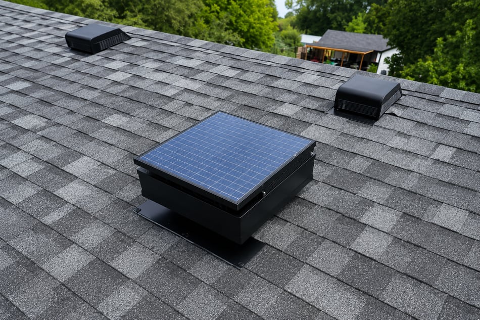 This Ann Arbor Home Needed Work Up Top and Down Below