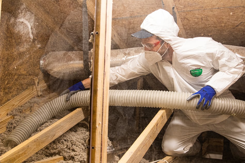 When Old Attic Insulation Has to Come Out: Rodents, Water and Mold in Phoenix East Valley Attics