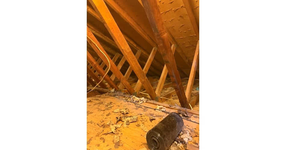 The Insulation Had to Come Out Before This Manalapan Attic Could Be Fixed
