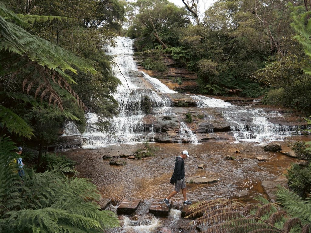 Image 7