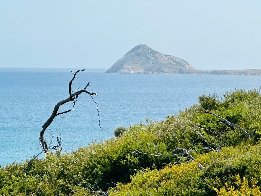 Image 6