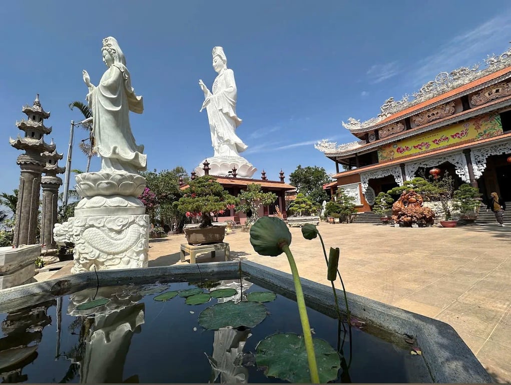 Image 11