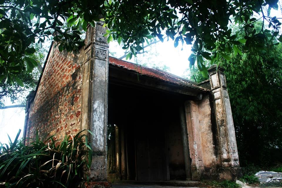 Image 11