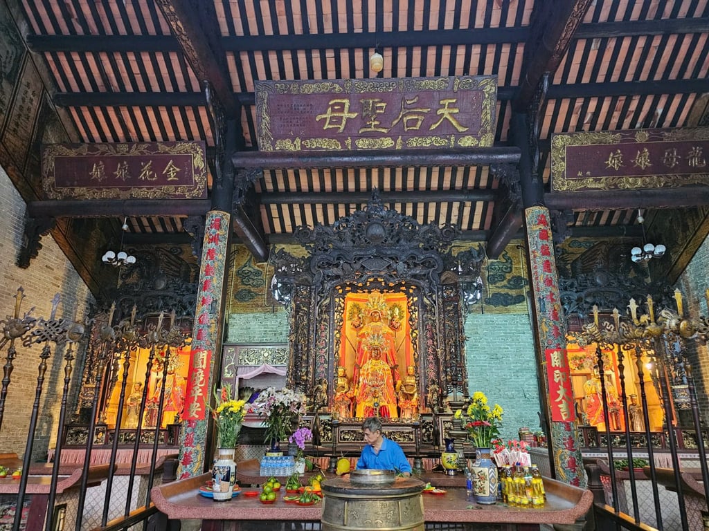 Image 8