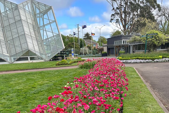 Image 13