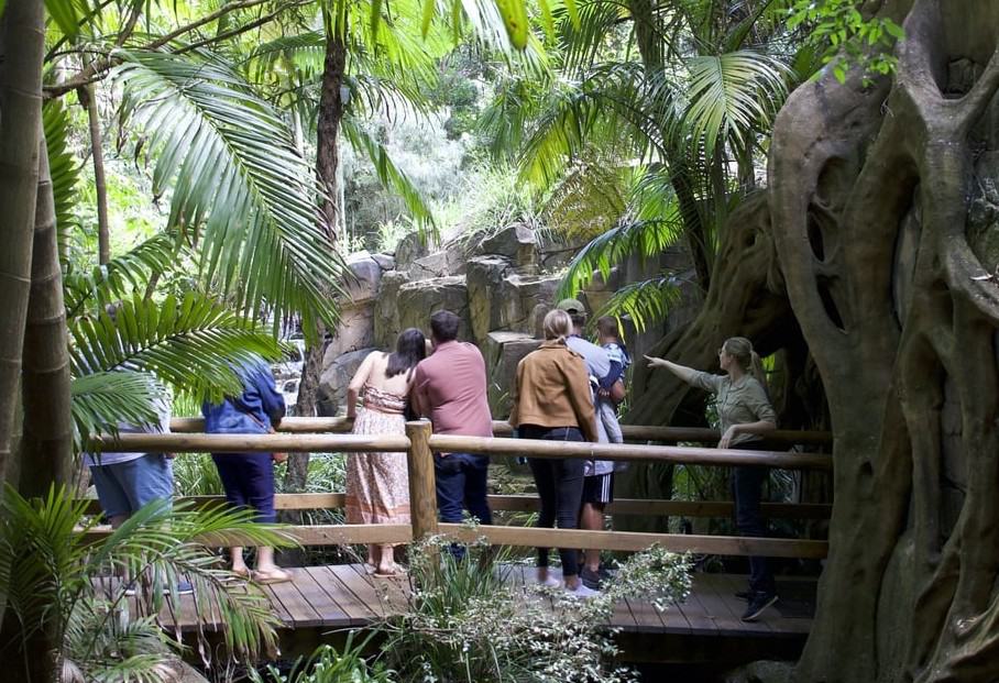 Tamborine Mountain – Hop On Hop Off + Glow Worm Tour - From Gold Coast