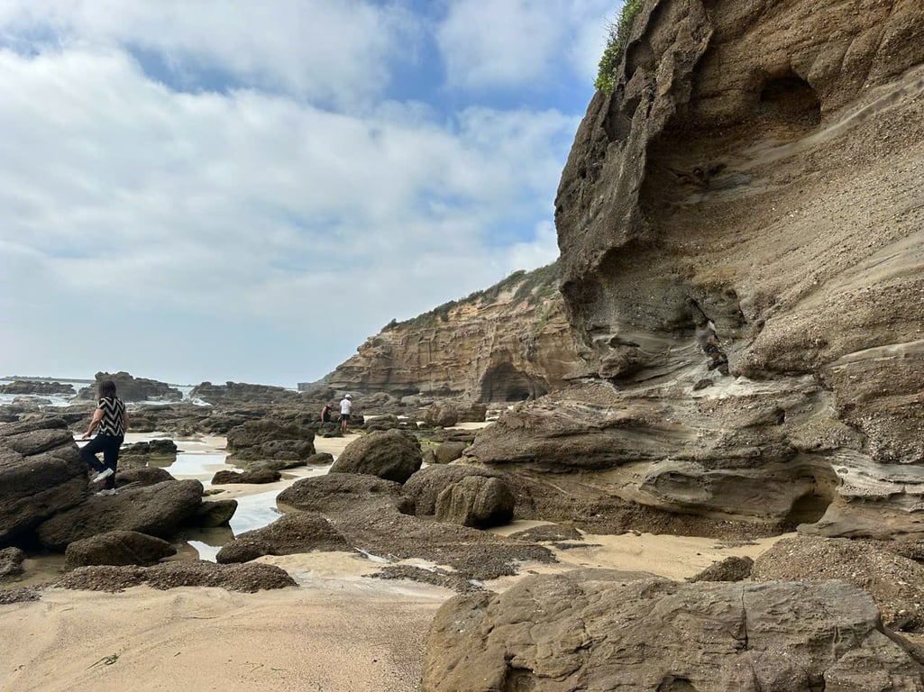 Image 4