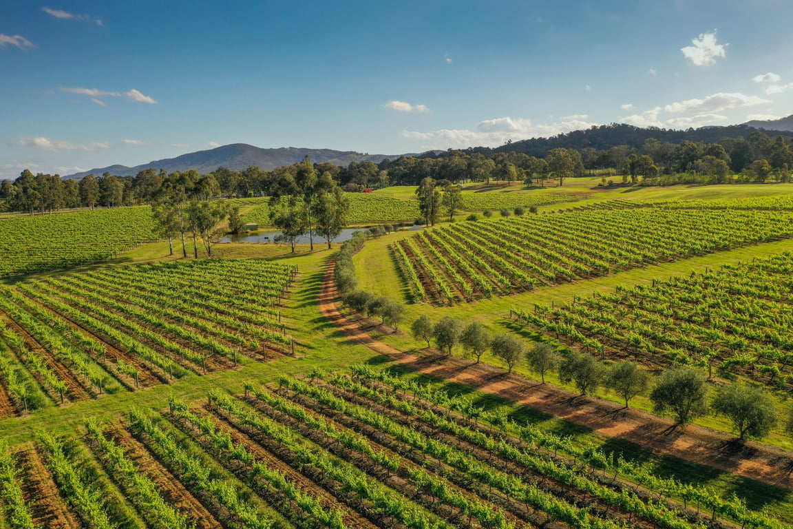 Hunter Valley – Ghé thăm và trải nghiệm ở Thung Lũng Rượu vang