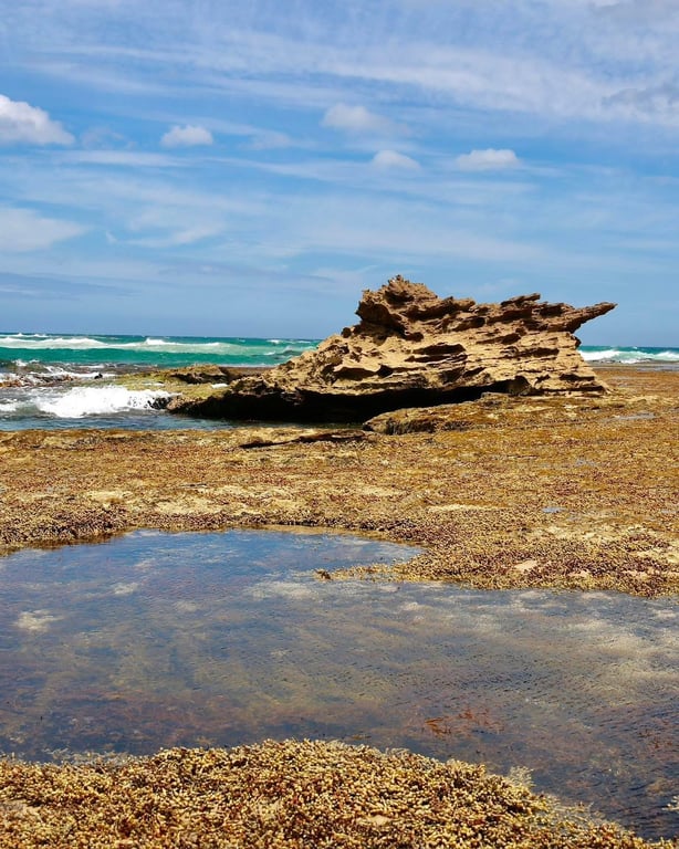 Tour Mornington Peninsula mùa hè về