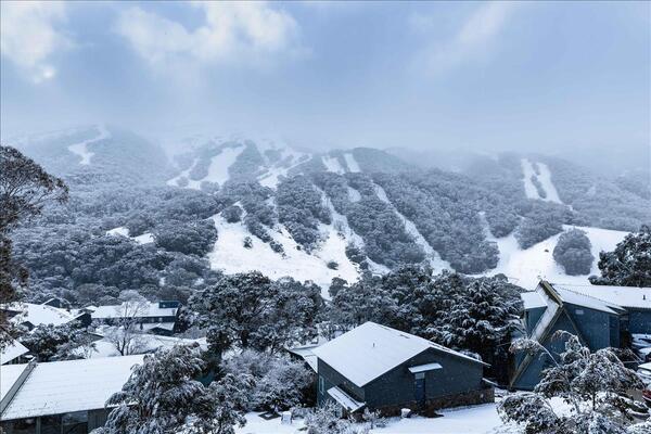 1 Day Snow Trip From Canberra (Thredbo or Perisher)