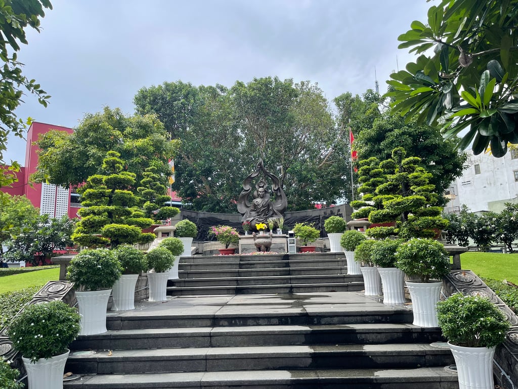 Image 10