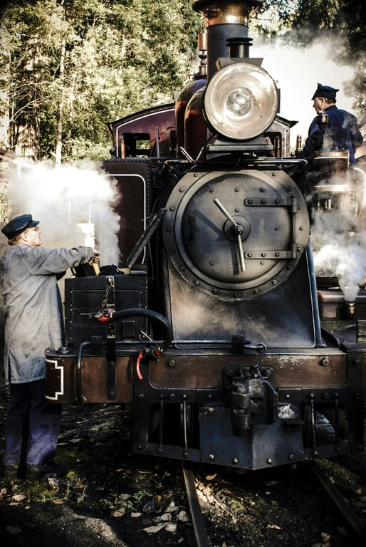 Puffing Billy Premium Private Tour