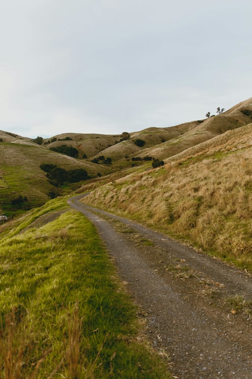 Image 18