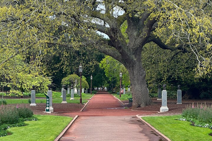 Image 11