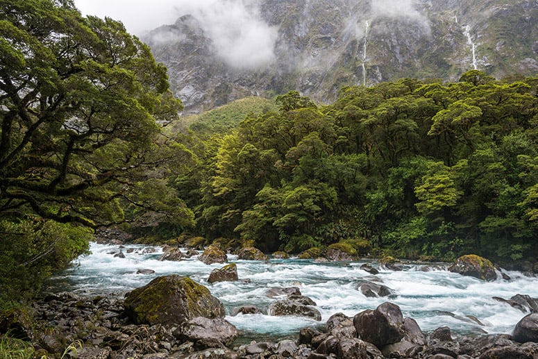 Image 10