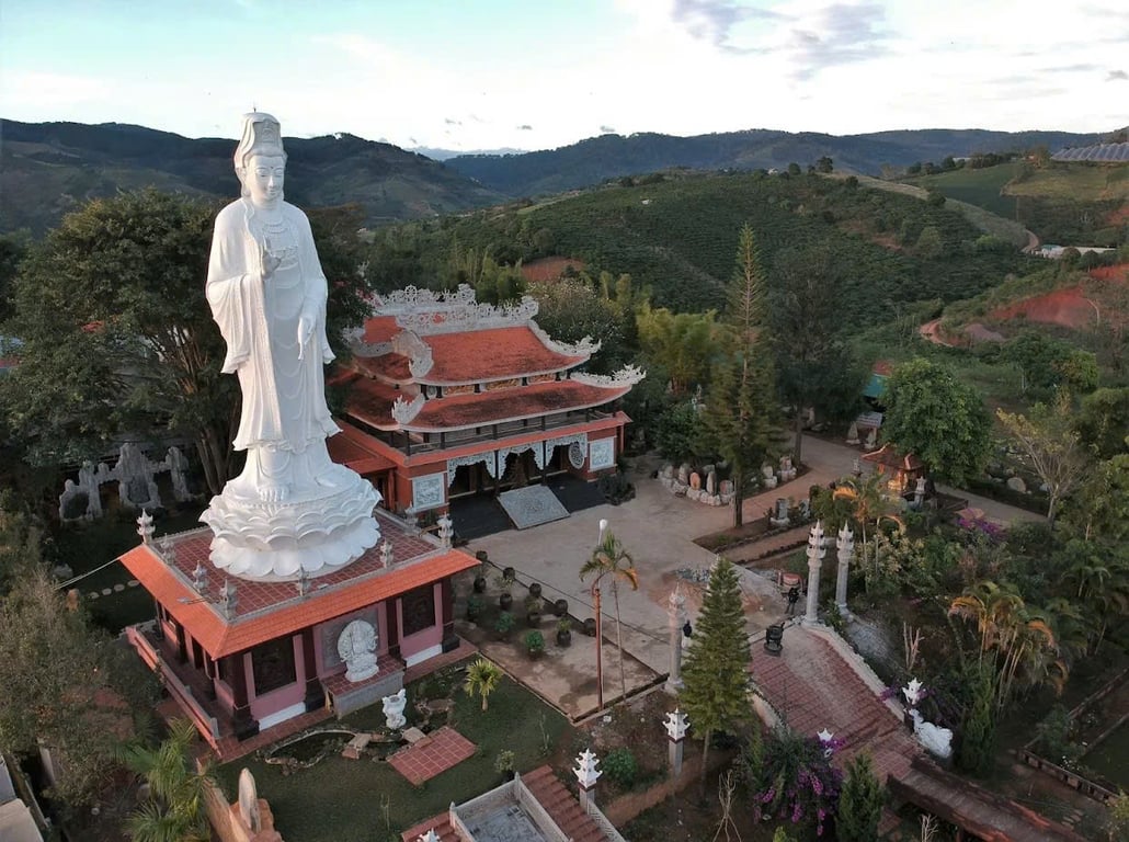 Image 12