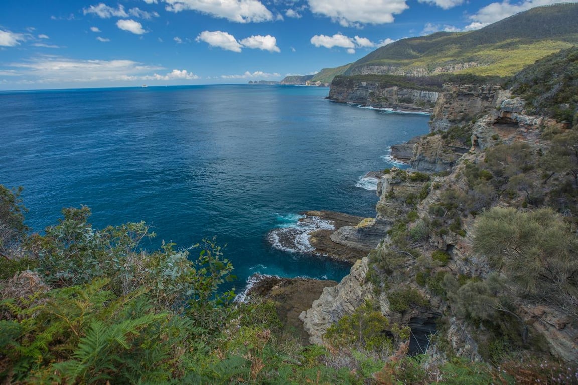 Image 11