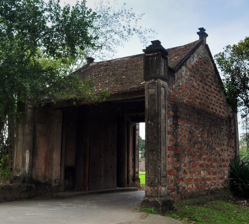Image 11