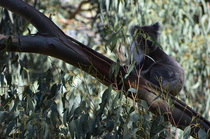 Image 15