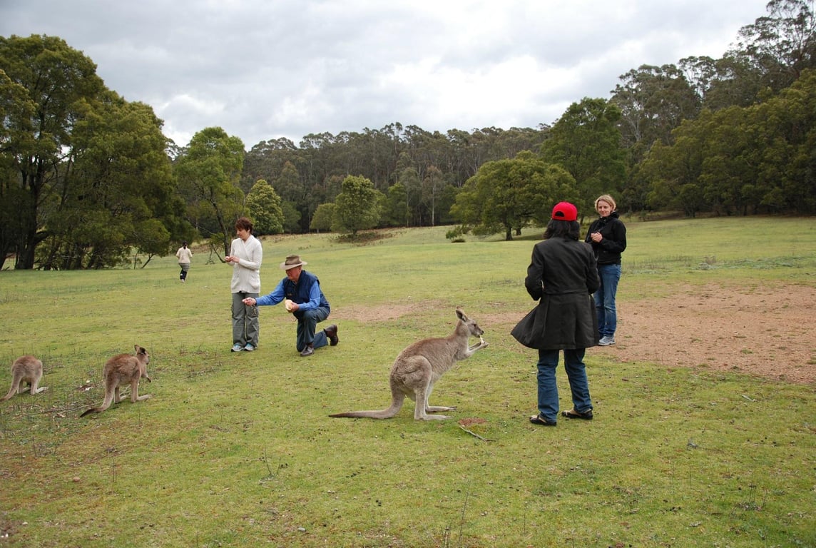 Image 10