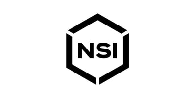 NSI Logo