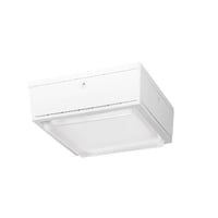 RAB VANLED65W Canopy Lighting With On/Off Driver, LED Lamp, 63 W Fixture, 120/208/240/277 VAC, White/Polyester Powder Coated Housing