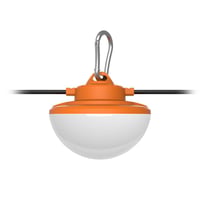 RAB STRING17 100 1