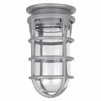 VAG-02-CRed Dot® VAG-01-C Outdoor Vaporproof Light Fixture, 100 W Fixture