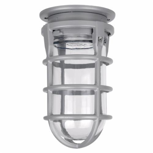 VAG-02-CRed Dot® VAG-01-C Outdoor Vaporproof Light Fixture, 100 W Fixture