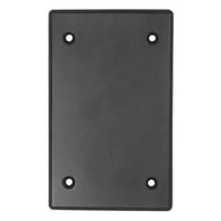 T&B® CFSB FS/FD Blank Weatherproof Device Box Cover, 4-9/16 in L x 2-13/16 in W, Die Cast Aluminum