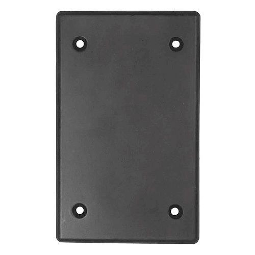 T&B® CFSB FS/FD Blank Weatherproof Device Box Cover, 4-9/16 in L x 2-13/16 in W, Die Cast Aluminum